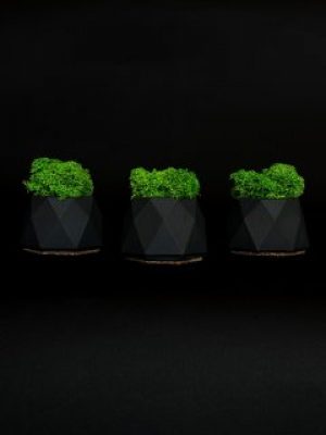 Набор из 3-х кашпо со стабилизированным мхом "Little Kashpo Black"