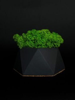 Кашпо с стабилизированным мхом "PIFI Black"