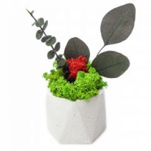 Кашпо восьмигранник из мха