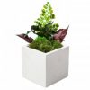 Кашпо квадрат из мха