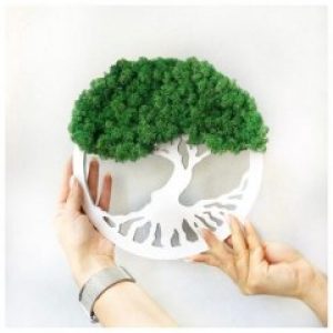 Картина Magic Gardens «Дерево со стабилизированным мхом» 25 см 2018