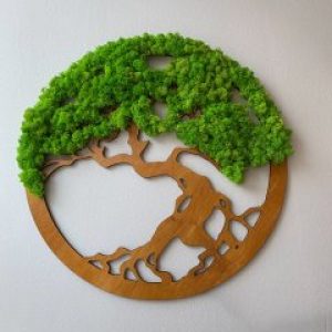 Картина Magic Gardens «Дерево со стабилизированным мхом» 50 см