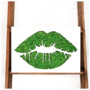 Панно Magic Gardens «Губы» со стабилизированным мхом 45*30см 1883