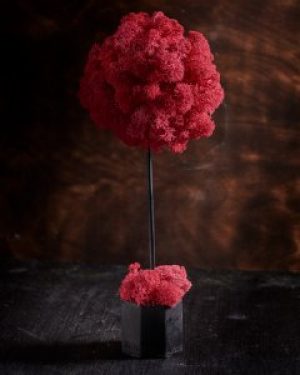 Дерево из мха Wow Decor розовый мох