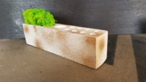 Органайзер гипсовый с золотым напылением Wow Decor с салатовым мхом