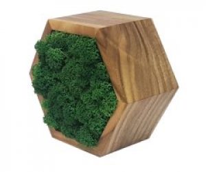 Рамка шестиугольная двусторонняя MossArt со стабилизированным мхом 14 см Grass Green(1488)