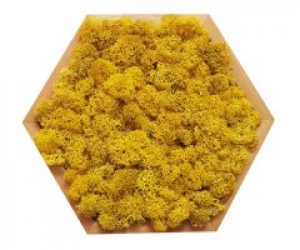 Картина шестиугольная MossArt из стабилизированного мха 20 см Lemon (1486)