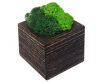 Кашпо деревянное MossArt со стабилизированным мхом (1484)