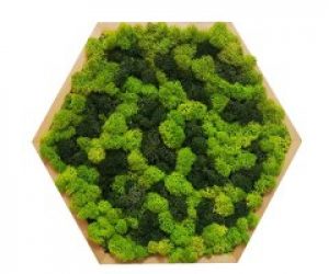 Картина шестиугольная MossArt из стабилизированного мха 30 см Разноцветная (1482)