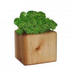 Куб сo мхом "6*6" (MOSS6)