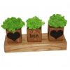 Композиция кубиков со мхом "LOVE" (COMBIMOSS3)