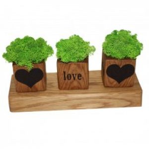 Композиция кубиков со мхом "LOVE" (COMBIMOSS3)