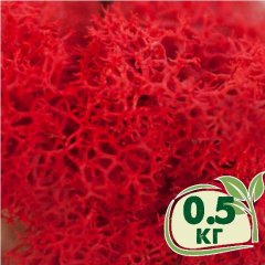 Стабилизированный мох ягель Nordic moss Красный 0