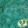 Стабилизированный мох ягель Nordic moss Изумрудный 0