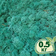 Стабилизированный мох ягель Nordic moss Изумрудный 0