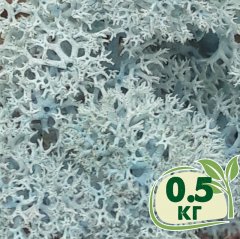 Стабилизированный мох ягель Nordic moss Ледяной голубой 0