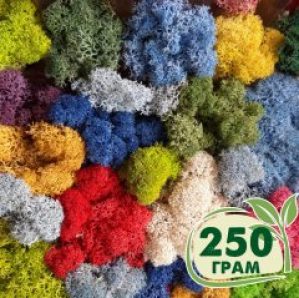 Стабилизированный мох ягель Nordic moss Микс 250 грамм