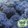 Стабилизированный мох ягель Nordic moss Синий лазурный 100 грамм
