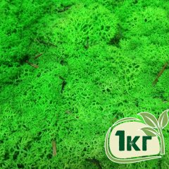 Стабилизированный мох ягель Nordic moss Зеленый травяной светлый 1 кг