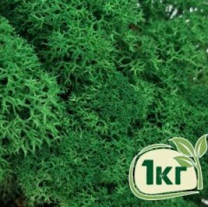 Стабилизированный мох ягель Nordic moss Зеленый травяной темный 1 кг