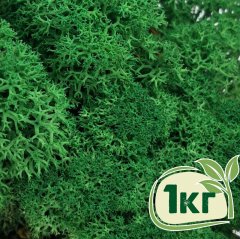 Стабилизированный мох ягель Nordic moss Зеленый травяной темный 1 кг