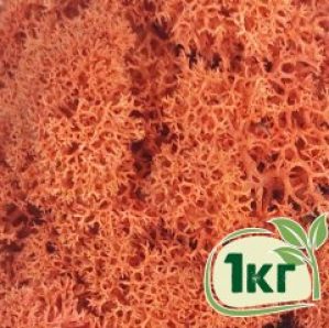 Стабилизированный мох ягель Nordic moss Сиена 1 кг