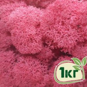 Стабилизированный мох ягель Nordic moss Цикламен 1 кг