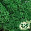 Стабилизированный мох ягель Nordic moss Зеленый травяной темный 250 грамм
