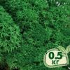 Стабилизированный мох ягель Nordic moss Зеленый травяной темный 0