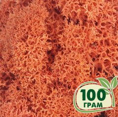 Стабилизированный мох ягель Nordic moss Сиена 100 грамм