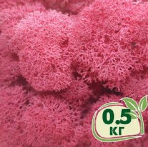 Стабилизированный мох ягель Nordic moss Цикламен 0