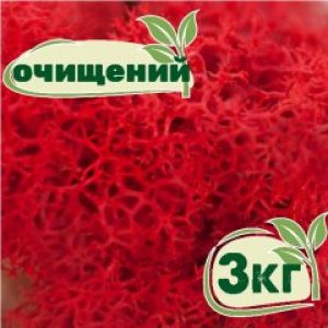 Очищенный стабилизированный мох ягель Nordic moss Красный 3 кг