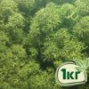 Стабилизированный мох ягель Nordic moss Зеленый темный 1 кг
