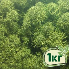 Стабилизированный мох ягель Nordic moss Зеленый темный 1 кг