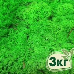 Стабилизированный мох ягель Nordic moss Зеленый травяной светлый 3 кг