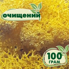 Очищенный стабилизированный мох ягель Nordic moss Желтый лимонный 100 грамм