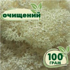 Очищенный стабилизированный мох ягель Nordic moss Натуральный белый 100 грамм