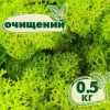 Очищенный стабилизированный мох ягель Nordic moss Зеленый весенний 0