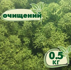 Очищенный стабилизированный мох ягель Nordic moss Зеленый темный 0