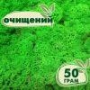 Очищенный стабилизированный мох ягель Nordic moss Зеленый травяной светлый 50 грамм