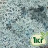 Стабилизированный мох ягель Nordic moss Ледяной голубой 1 кг
