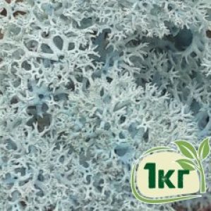 Стабилизированный мох ягель Nordic moss Ледяной голубой 1 кг