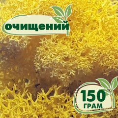 Очищенный стабилизированный мох ягель Nordic moss Желтый лимонный 150 грамм