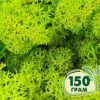 Стабилизированный мох ягель Nordic moss Зеленый весенний 150 грамм