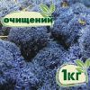 Очищенный стабилизированный мох ягель Nordic moss Синий лазурный 1 кг