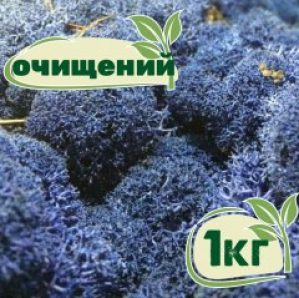 Очищенный стабилизированный мох ягель Nordic moss Синий лазурный 1 кг