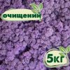 Очищенный стабилизированный мох ягель Nordic moss Эрика 5 кг