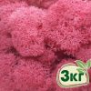 Стабилизированный мох ягель Nordic moss Цикламен 3 кг