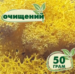 Очищенный стабилизированный мох ягель Nordic moss Желтый лимонный 50 грамм