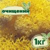 Очищенный стабилизированный мох ягель Nordic moss Желтый лимонный 1 кг